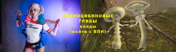 СК Алзамай