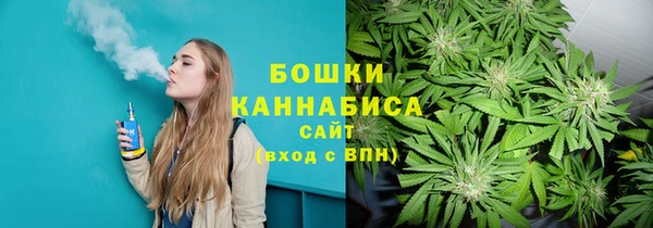 СК Алзамай