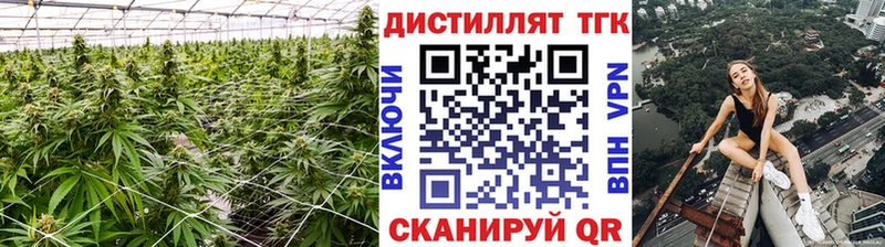 Дистиллят ТГК концентрат  Балабаново 